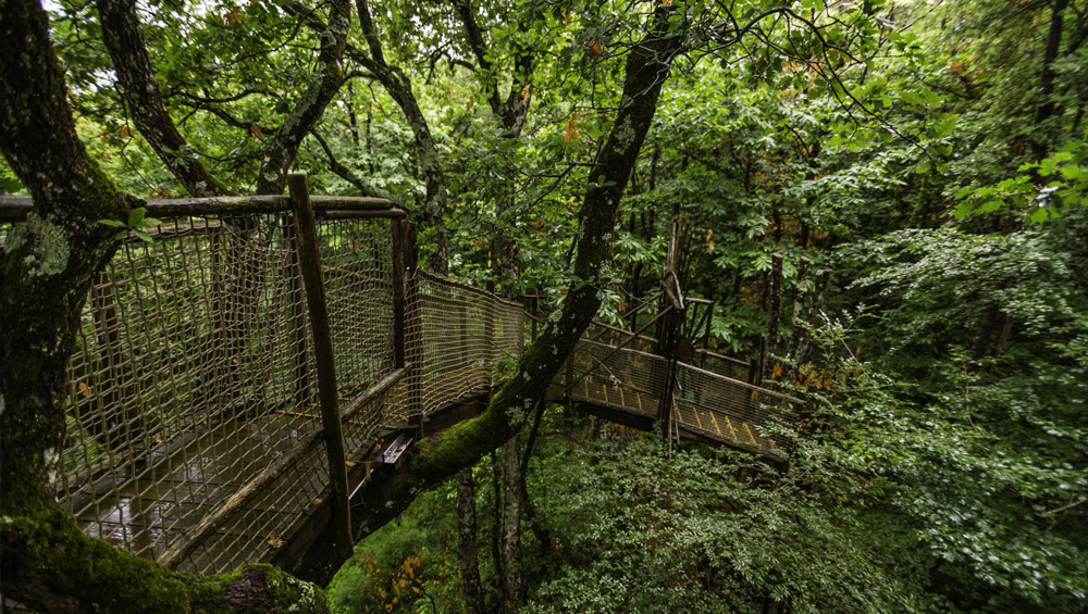 Stage ressourcement dans les bois de Mikinac