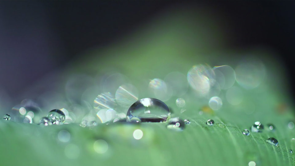 Le pouvoir de l'eau